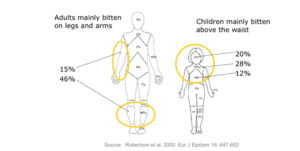 Childrens height diagram